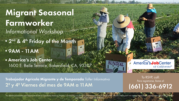 EDD Migrant Seasonal Farmworker Informational Workshop Flyer - 2nd & 4th Friday of the Month @ 1600 E. Belle Terrace Bakersfield, CA, 93307 @ 9AM - 11AM : America's Job Center of Kern